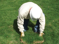 Restoring the landscaping by replacing removed lawn sections for a Stratford home.