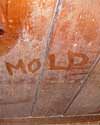 The word mould written with a finger on a mouldy wood wall in Essex