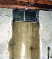 Flooding through basement windows in a Lambton Shores home.
