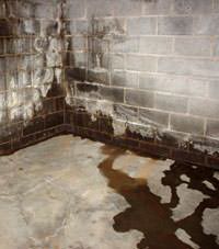Water seeping through a concrete wall in a Tecumseh basement