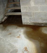 Flooding floor cracks by a hatchway door in Lasalle
