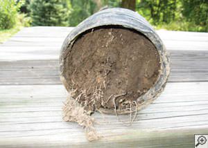 clogged french drain found in Lasalle, Ontario